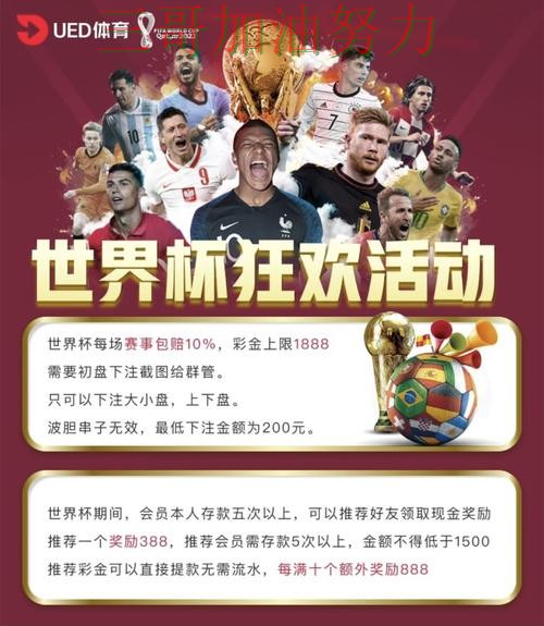 世界杯投注平台怎么选？入口汇总带你了解（世界杯官方信息）